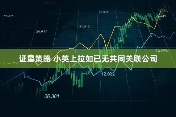 证星策略 小英上拉如已无共同关联公司