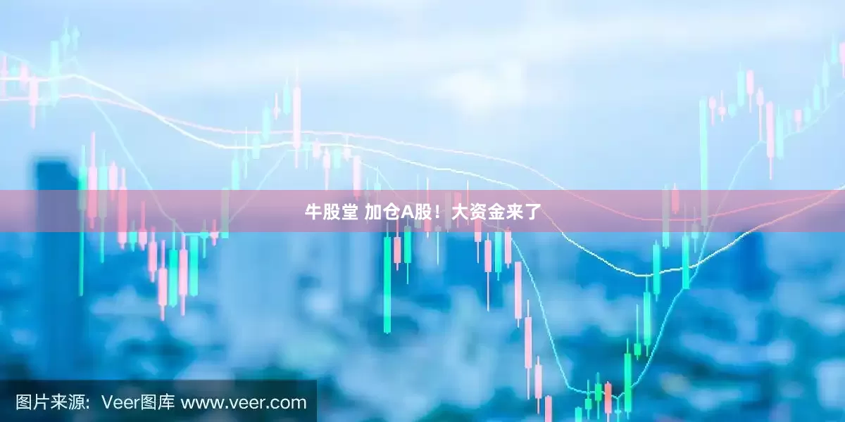 牛股堂 加仓A股！大资金来了