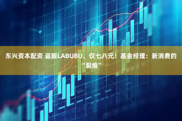 东兴资本配资 盗版LABUBU，仅七八元！基金经理：新消费的“裂痕”