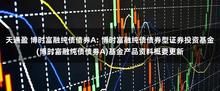天通盈 博时富融纯债债券A: 博时富融纯债债券型证券投资基金(博时富融纯债债券A)基金产品资料概要更新