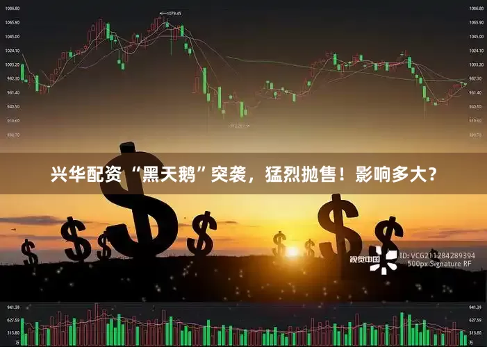 兴华配资 “黑天鹅”突袭，猛烈抛售！影响多大？