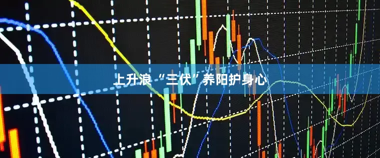 上升浪 “三伏”养阳护身心